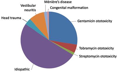 Bilateral Vestibular Weakness